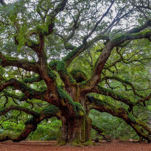 Episode 174: How Fiction Moves the Needle on Real-World Conservation