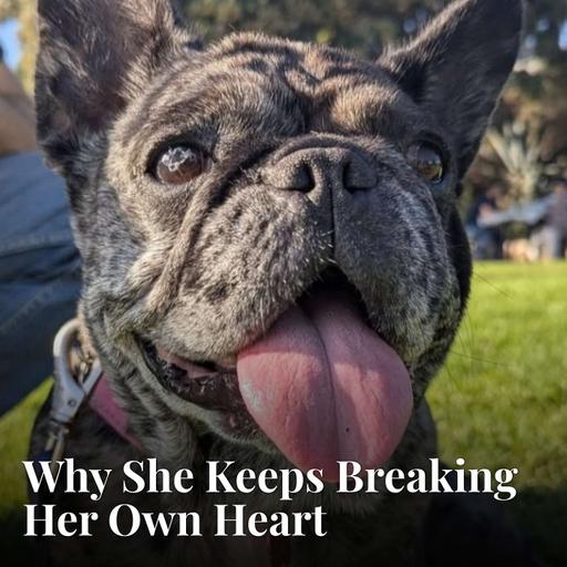 She's Fostered 30 Dogs. Yes, It Hurts Every Time.