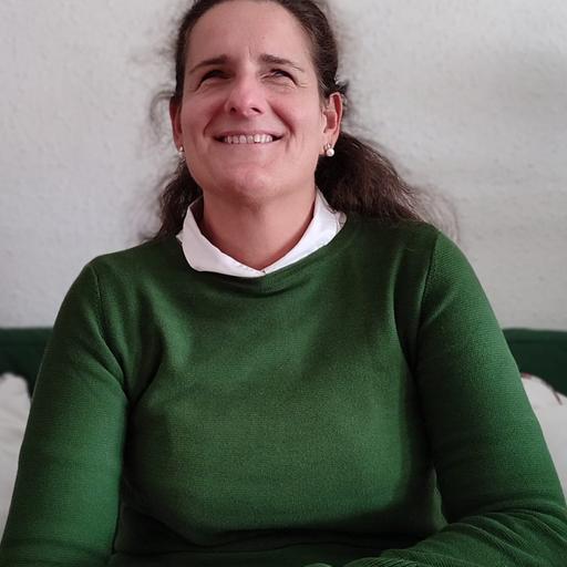 uso de Gemini en el iPhone, primera parte.