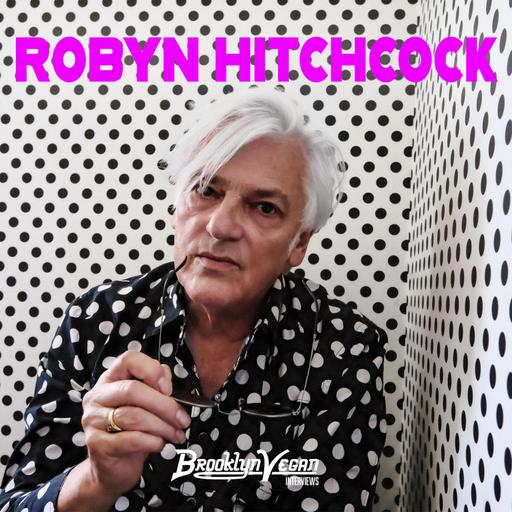 Robyn Hitchcock celebrates collapse, polka dots, and new album The Confuser