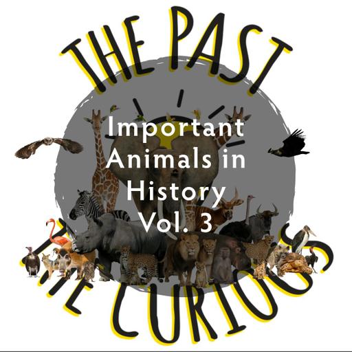 Animals Vol 3: Signalman Jack, Cacareco, and Pickles!