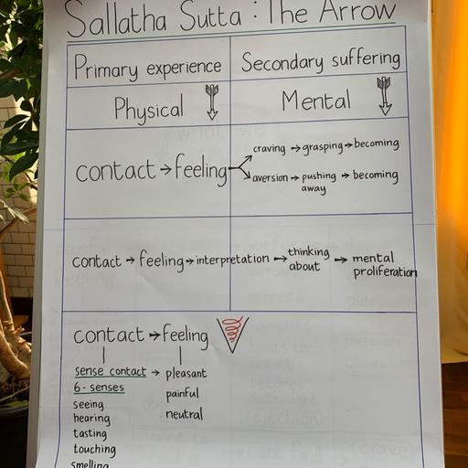 The Second Arrow: Working with Pain