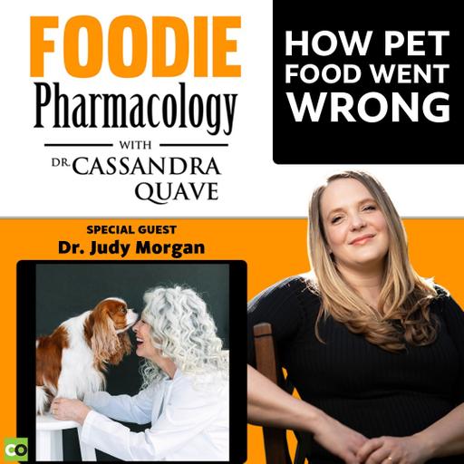 How Pet Food Went Wrong with Dr. Judy Morgan
