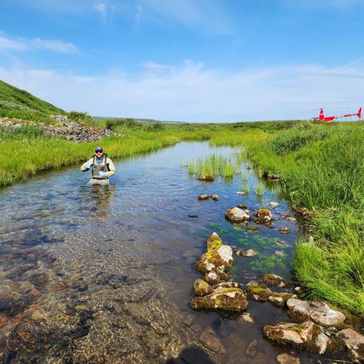 360 - Dolly Varden Metabolics, Arctic Ecology, Ecosystem Connectivity, and Following Curiosity with Adam Hensley