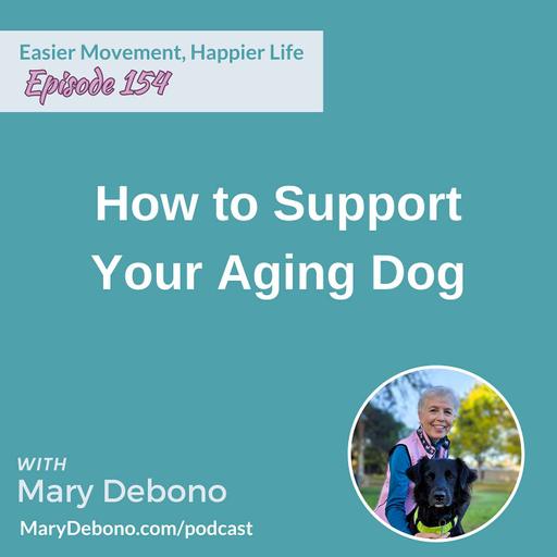 How to Support Your Aging Dog