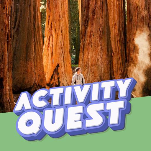 Hugging a giant redwood tree