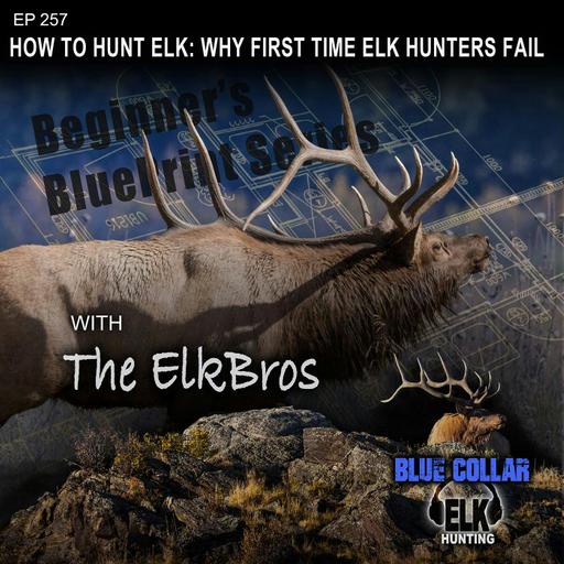 How To Hunt Elk: Why First Time Elk Hunters Fail
