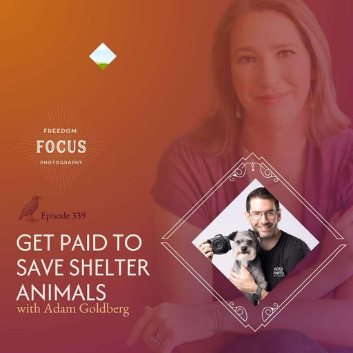 Get Paid to Save Shelter Animals with Adam Goldberg