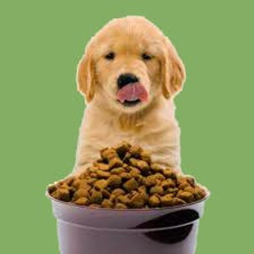 A Dog's Dinner: What Should We Really Be Feeding Our Pets?
