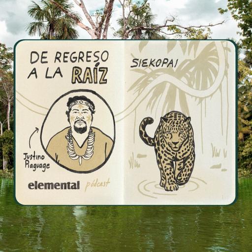 De regreso a la raíz