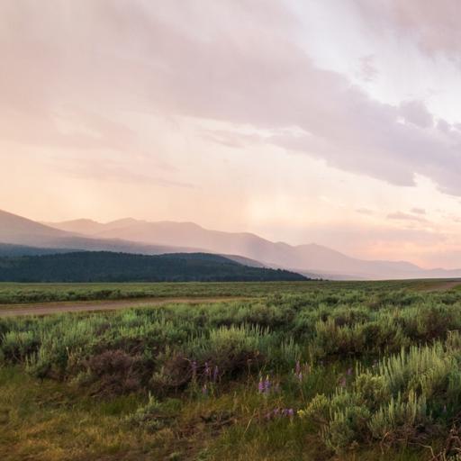 Clam Digging at 8,000 Feet, A Love Letter to the Oceans of Eastern Montana
