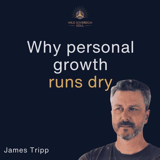 The hidden limits of pattern-based personal growth - James Tripp