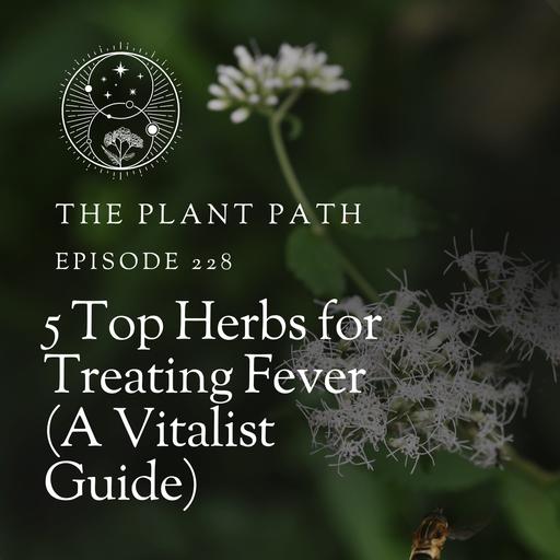 5 Top Herbs for Treating Fever (A Vitalist Guide)