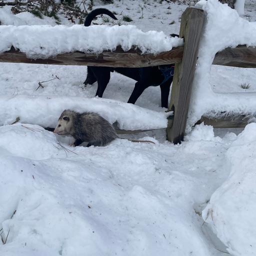 Frozen in Place