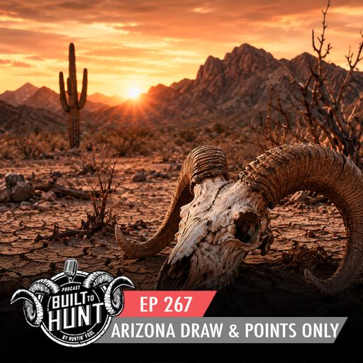 EP 267: Points Only & Arizona Outlook for 2026
