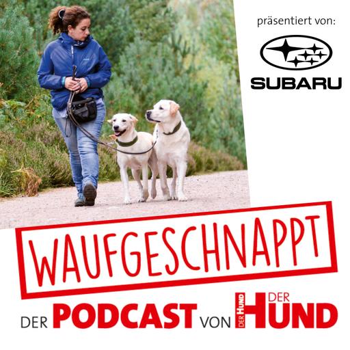 Urlaub mit Hund in Schottland - Nadia Winter