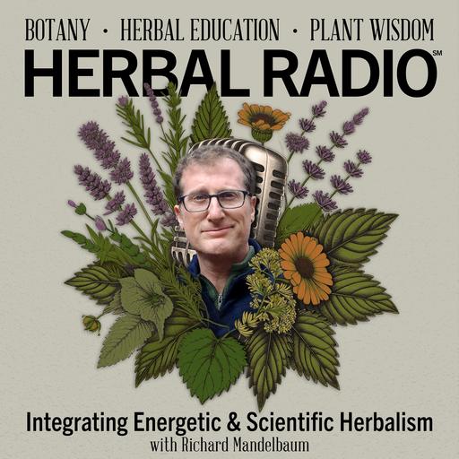 Integrating Energetic & Scientific Herbalism | Featuring Richard Mandelbaum