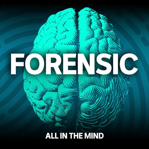 Ambiguous crimes and inattentional blindness: the science of eyewitness memory