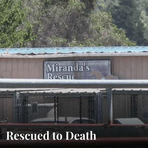 When Rescues Go Wrong