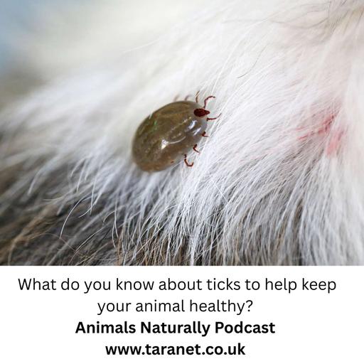 Do You This About Ticks For Your Animal's Health?