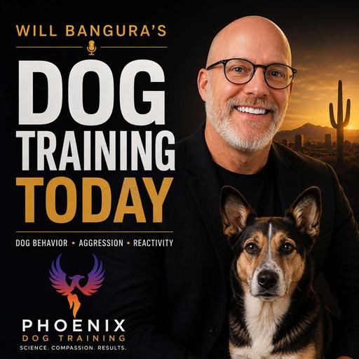 Are Low-Level E-Collars Safe? What the New Neuroscience Reveals About Dogs | Will Bangura