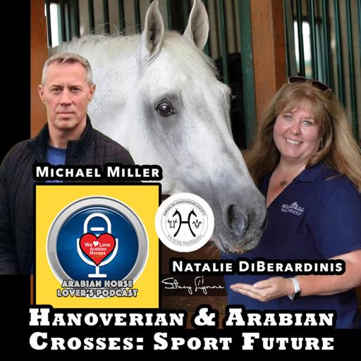 Natalie DiBerardinis & Michael Miller • Hanoverian & Arabian Crosses: Sport Horse Future