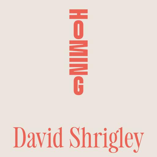 David Shrigley on Anxiety, Absurdity & Ageing Disgracefully