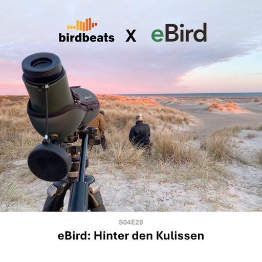 eBird: Hinter den Kulissen