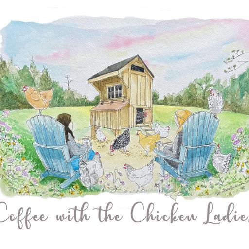 Episode 287 / New Hampshire Chicken / Fiona on Hatching Chicks with Broody Hens / Potato Crusted Quiche / Asparagus