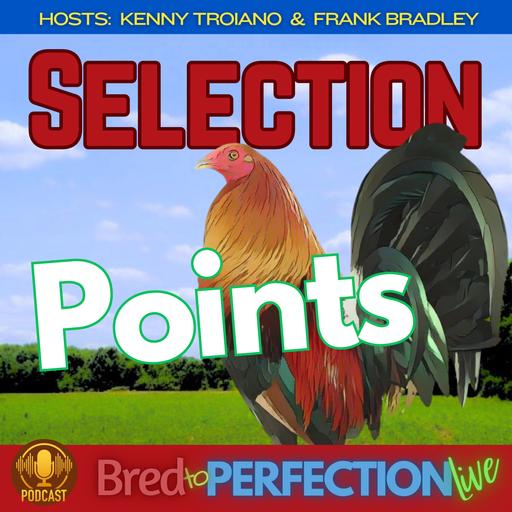Ep291 - Define Your Selection Points: The Blueprint for Building a True Strain