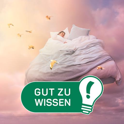 Was unsere Träume uns sagen wollen und wie wir uns besser daran erinnern können