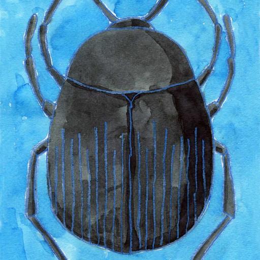 (We) Sentient Beings Are Everywhere . . .