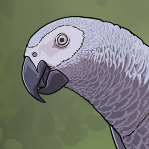 World Parrot Day Special