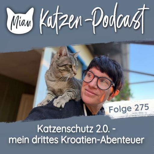Katzenschutz 2.0 - mein drittes Kroatien-Abenteuer | MKP275