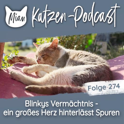 Blinkys Vermächtnis | MKP274