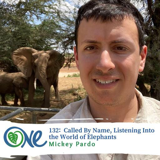 Called By Name: Listening Into the World of Elephants with Dr. Mickey Pardo