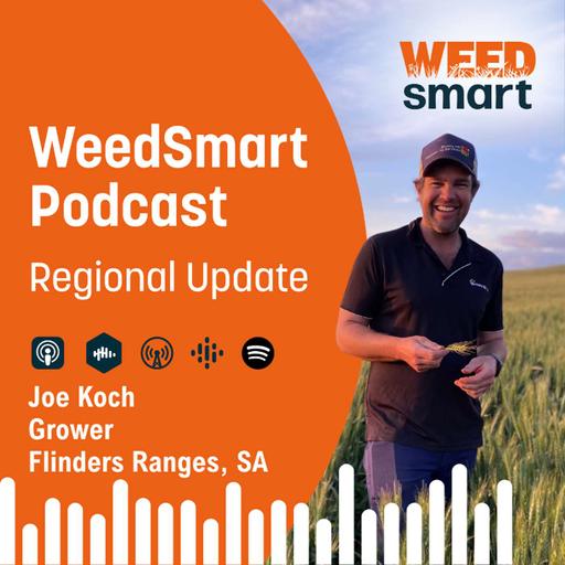 Regional Update - Joe Koch, Flinders Ranges, SA