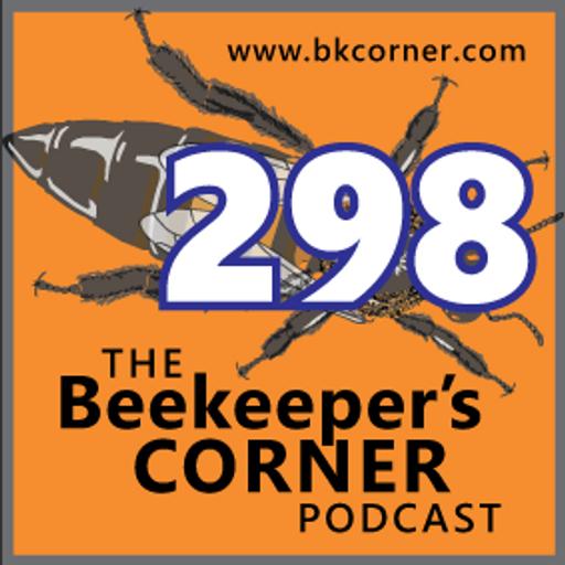 BKCorner Episode 298 - Hello There