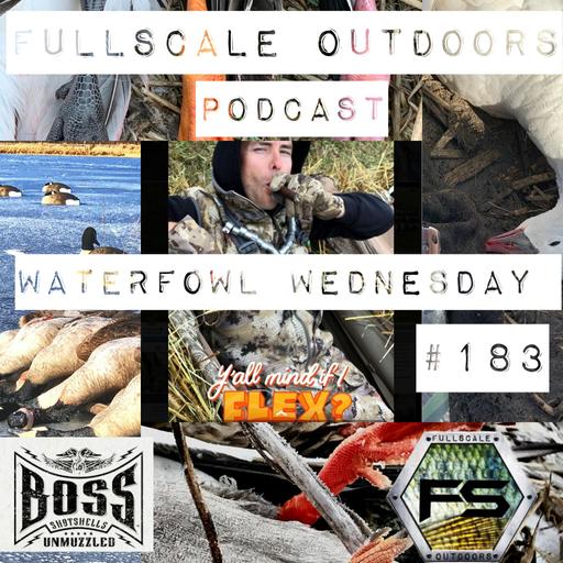 Waterfowl Wednesday #183