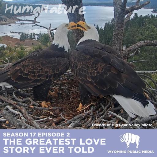 The Greatest Love Story Ever Told