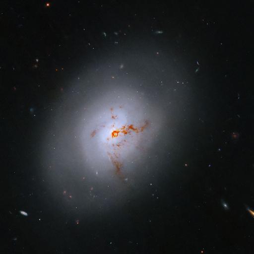 Obsesión por el Cielo - #1,173