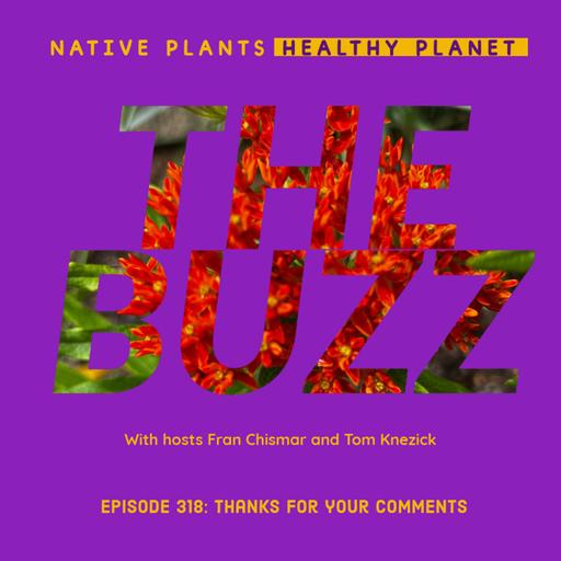 The Buzz - Thanks For Your Comments