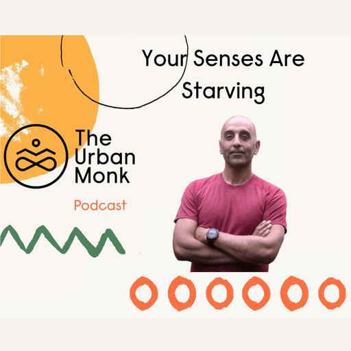 How Sensory Starvation Is Dimming Your Emotional Life