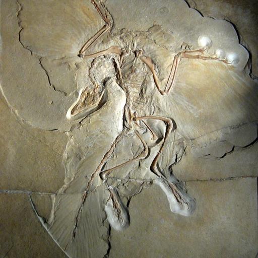 Steve Brusatte on the Dinosaurs That Survived the Asteroid