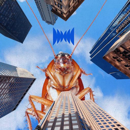 This American Roach