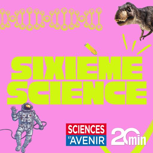 Comment mieux soigner les AVC ? (Rediffusion)