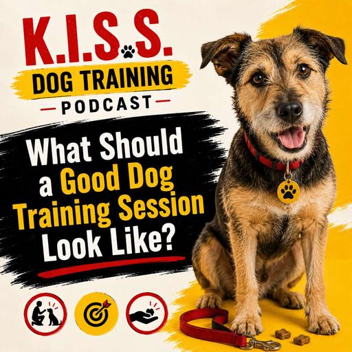 What Should a Good Dog Training Session Look Like?