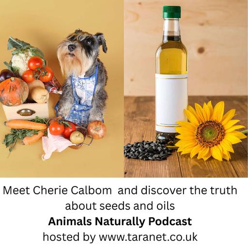 Do You Know The Truth About Seeds and Oils? Meet Cherie Calbom To Learn More
