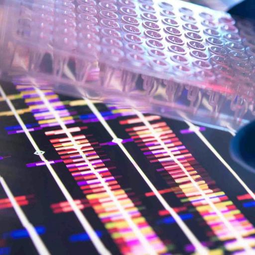Does Breast Cancer That Seems to Have High Recurrence Risk Always Need Chemo?