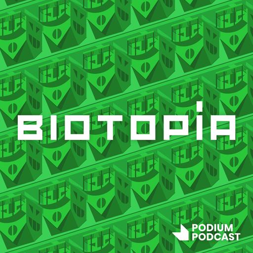 T03E07 - Las moléculas
